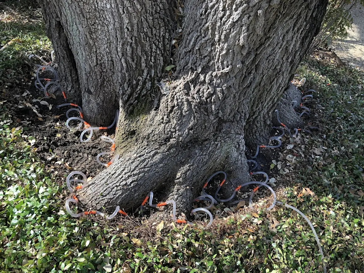 Detailed Shrub and Hedge Trimming job site in Broxton