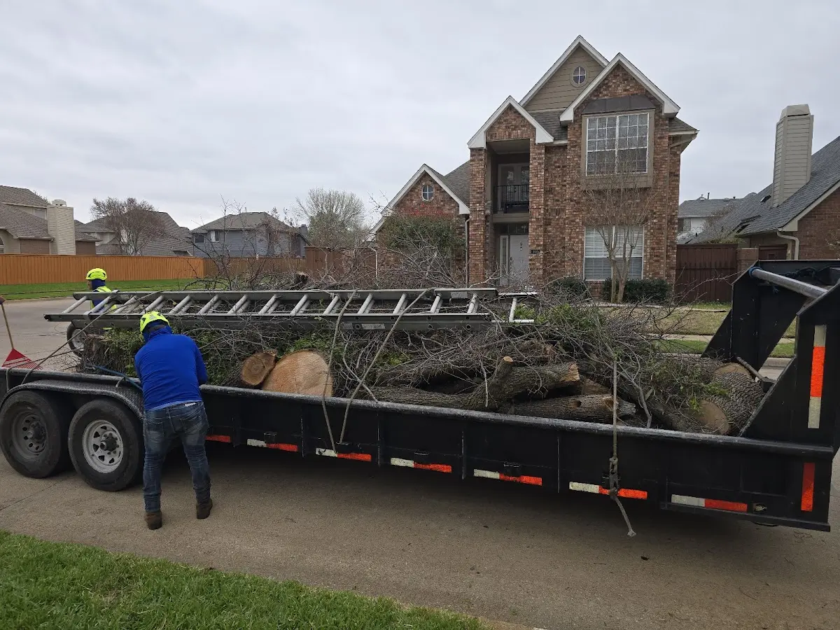 Expert Lot Clearing with proper safety equipment in Broxton